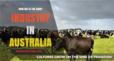 Australia's Dairy Industry: A Giant Down Under