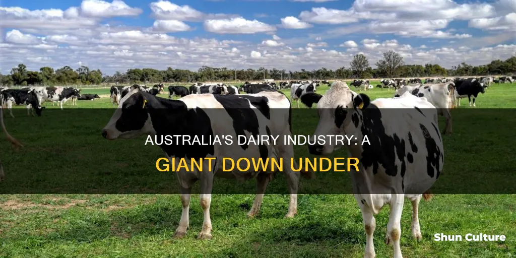 how big is the dairy industry in australia