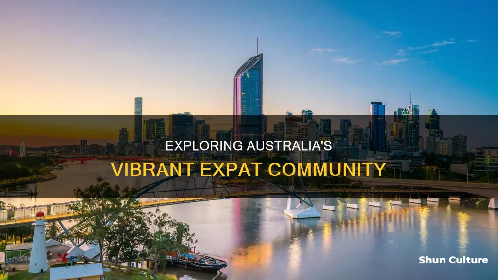 how big is the expat community in australia