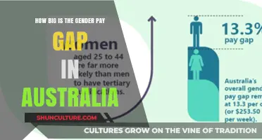 The Persistent Gender Pay Gap in Australia