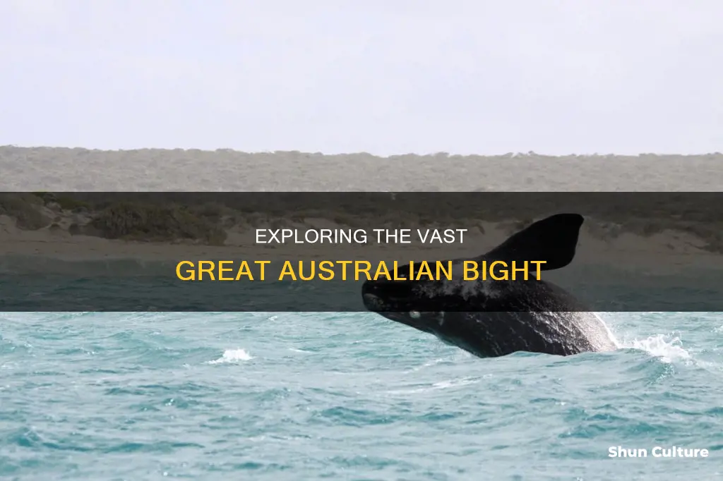 how big is the great australian bight