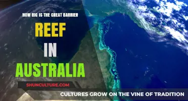 The Great Barrier Reef: Australia's Massive Natural Wonder