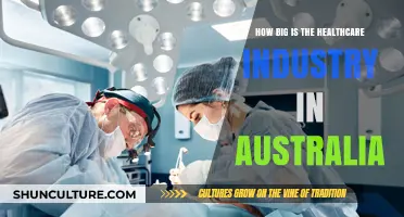 Healthcare Industry in Australia: A Giant or a Dwarf?