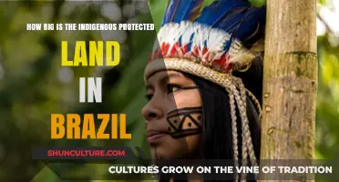 Exploring Brazil's Indigenous Protected Lands: Size and Significance