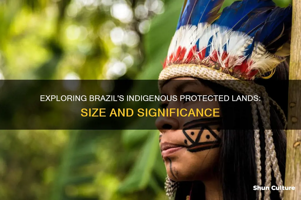 how big is the indigenous protected land in brazil