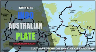 Indo-Australian Plate: A Giant's True Size