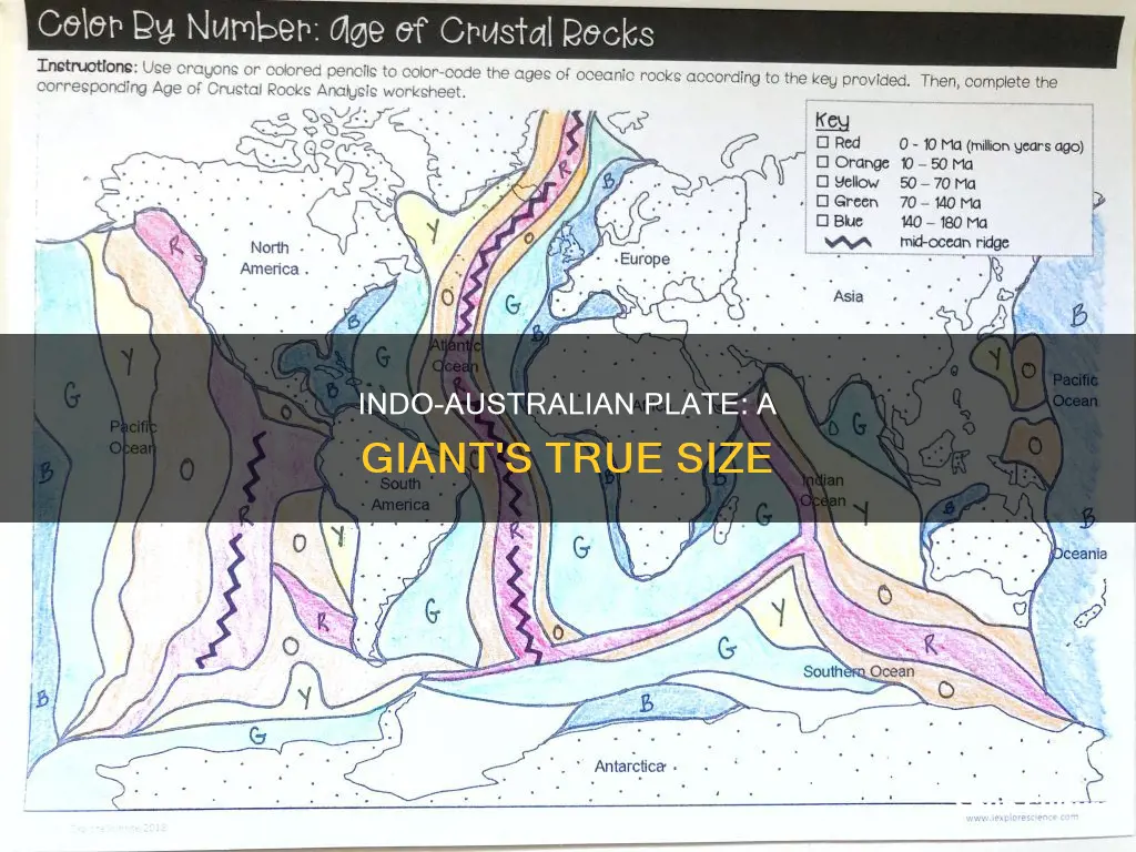 how big is the indo australian plate