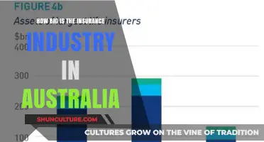 Insurance Industry in Australia: Size and Scope