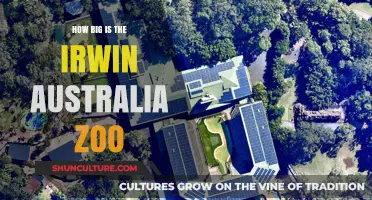 Australia Zoo: Massive Wildlife Adventure in Irwin
