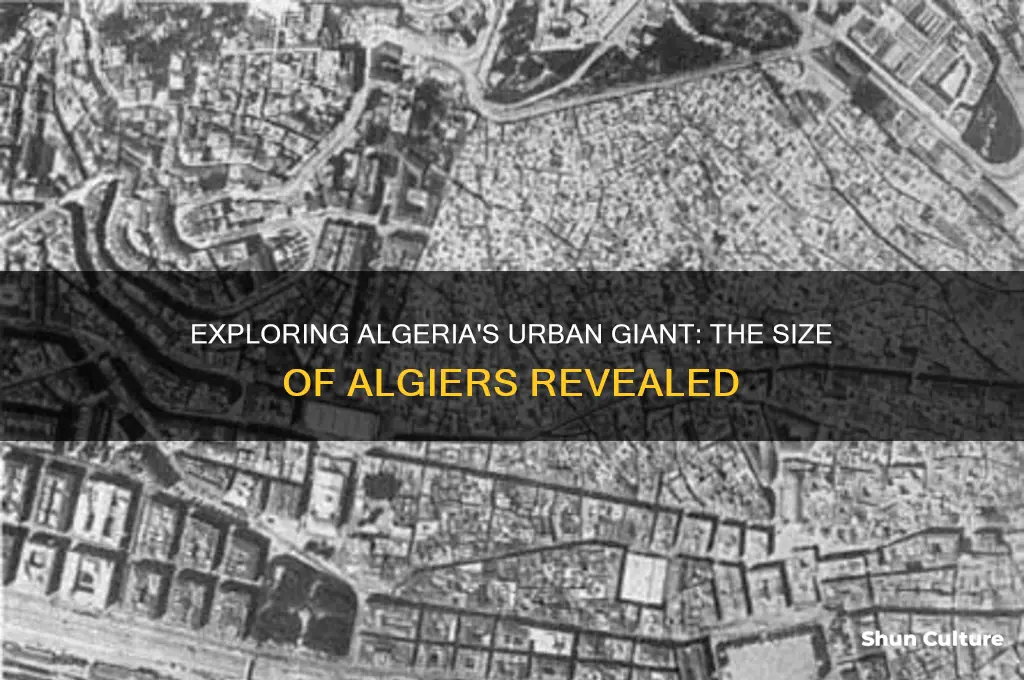 how big is the largest city in algeria