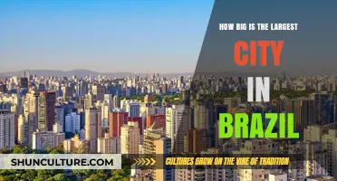 Exploring Brazil's Urban Giant: The Size of São Paulo City