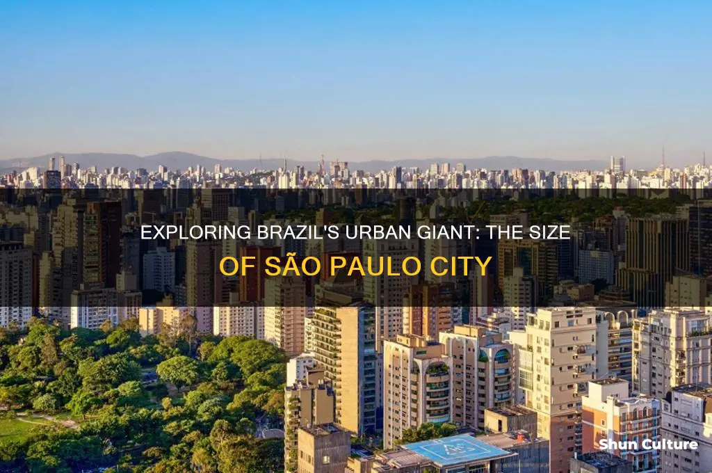 how big is the largest city in brazil