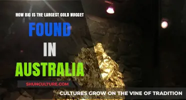 Massive Australian Gold Nugget Discovery: Size and Weight Revealed