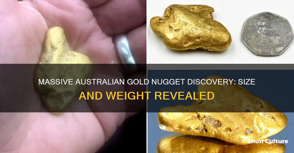 how big is the largest gold nugget found in australia