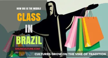 Understanding Brazil's Middle Class: Size, Impact, and Economic Influence