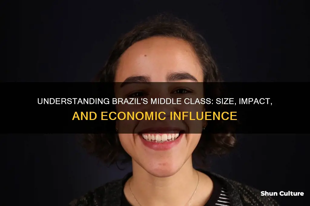 how big is the middle class in brazil