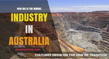 Australia's Mining Industry: A Giant Down Under
