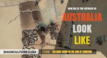 Exploring Australia's Vast Outback: How Big Is It?