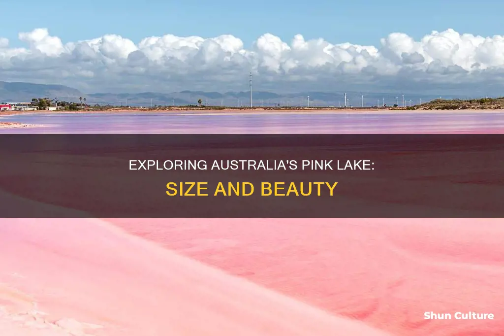 how big is the pink lake in australia