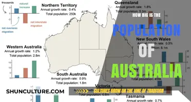 Exploring Australia's Population: Size and Trends