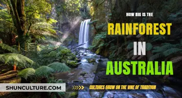 Australia's Rainforest: A Vast Natural Wonder