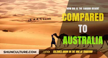 Exploring Sahara Desert's Vastness Against Australia's Size