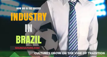Brazil's Soccer Industry: Size, Impact, and Global Influence Explored