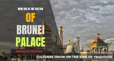 The Sultan's Palace: A Massive Bruneian Monument