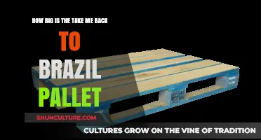 Take Me Back to Brazil Pallet Size: A Comprehensive Guide