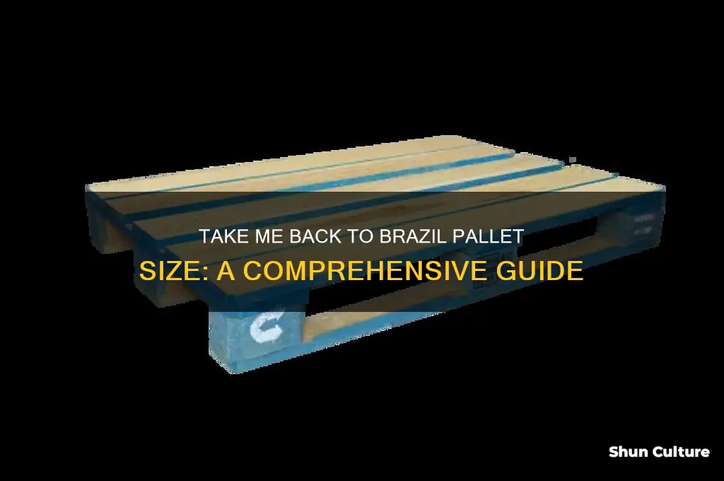 how big is the take me back to brazil pallet