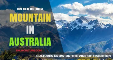 Australia's Tallest Mountain: How High Does It Reach?