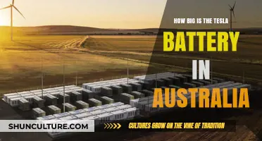Tesla's Giant Aussie Battery: Size and Impact