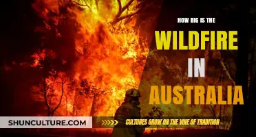 Wildfire Devastation in Australia: How Big Is It?