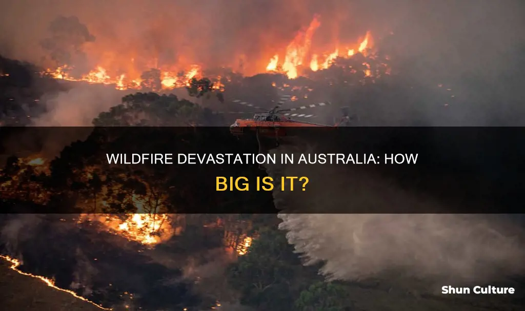 how big is the wildfire in australia