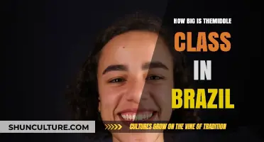 Brazil's Middle Class: Size, Impact, and Economic Significance Explored