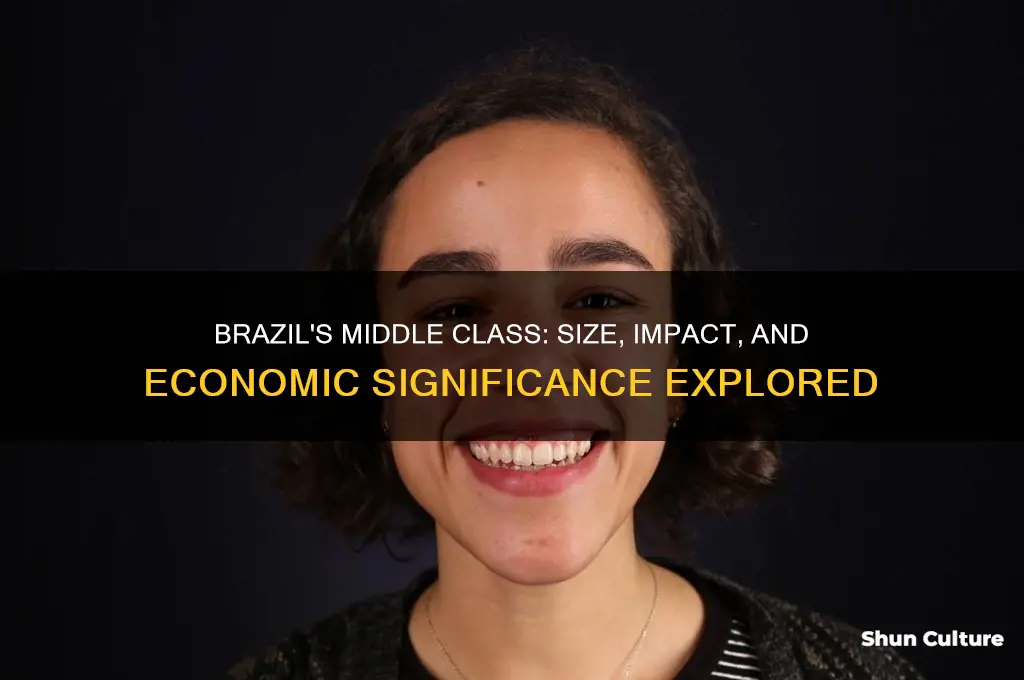 how big is themiddle class in brazil