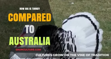 Turkey vs Australia: A Size Comparison