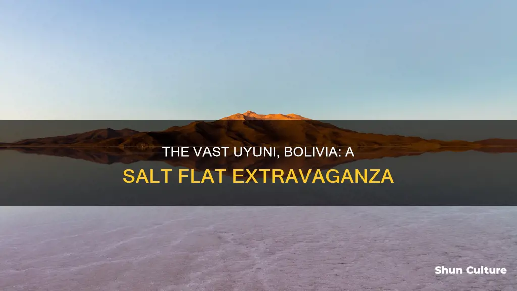 how big is uyuni bolivia