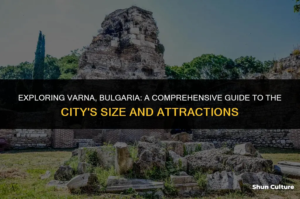 how big is varna bulgaria
