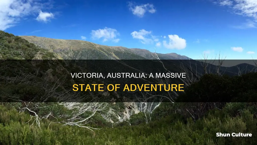 how big is victoria australia