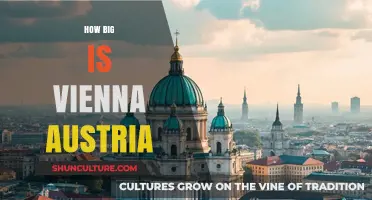 Exploring Vienna's Size: A City's Compact Beauty