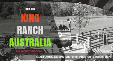 King Ranch Australia: A Sprawling Outback Empire