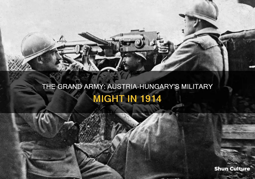 how big was austria-hungary military in 1914