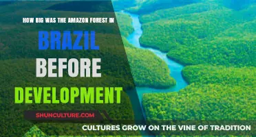 Brazil's Amazon Rainforest: Historical Size Before Development Impact