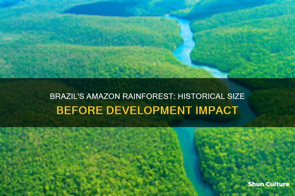 how big was the amazon forest in brazil before development