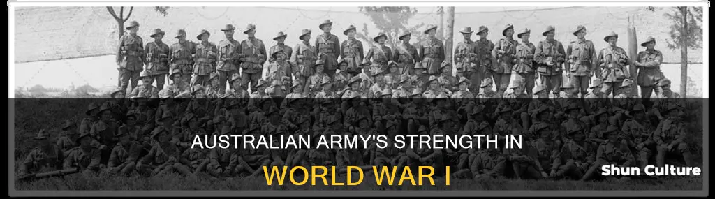 how big was the australian army in ww1