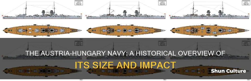 how big was the austria hungary navy