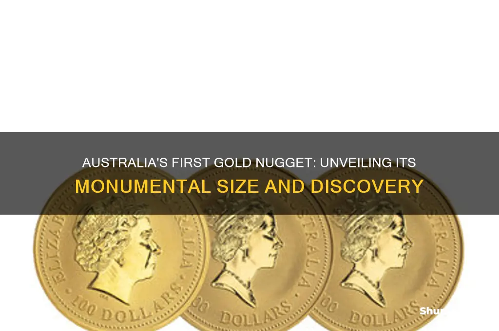 how big was the first gold nugget found in australia