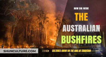 Massive Australian Bushfires: Devastating Impact, Huge Loss