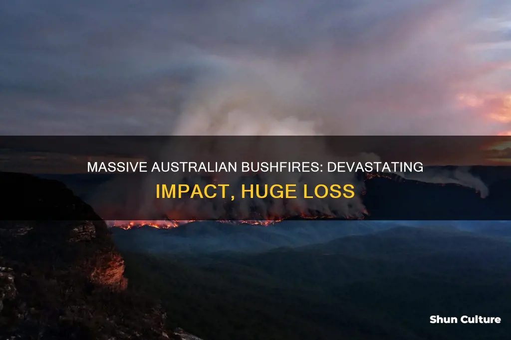 how big were the australian bushfires
